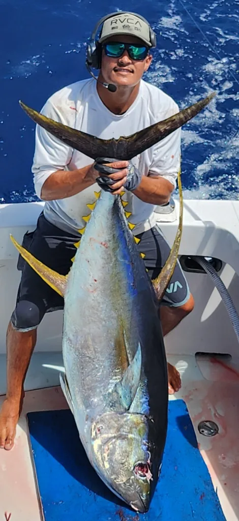 Man holding a large yellowfin tuna on a boat. Huge Yellowfin Tuna caught on a sport fishing trip.